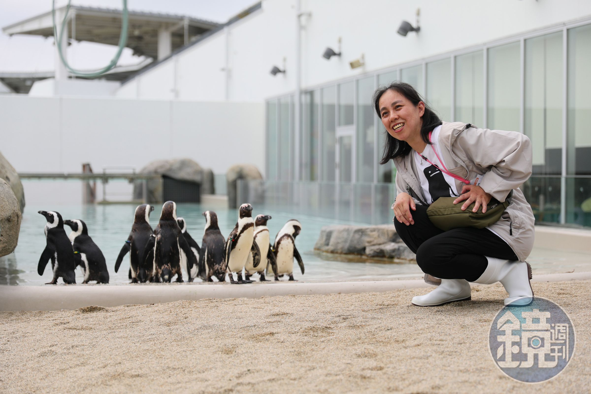 水族館近年新增「海洋森林沙灘PENGUIN LIFE」遊客可與黑腳企鵝近距離互動。