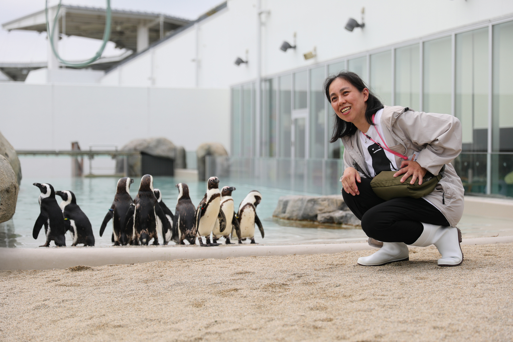 水族館近年新增「海洋森林沙灘PENGUIN LIFE」遊客可與黑腳企鵝近距離互動。