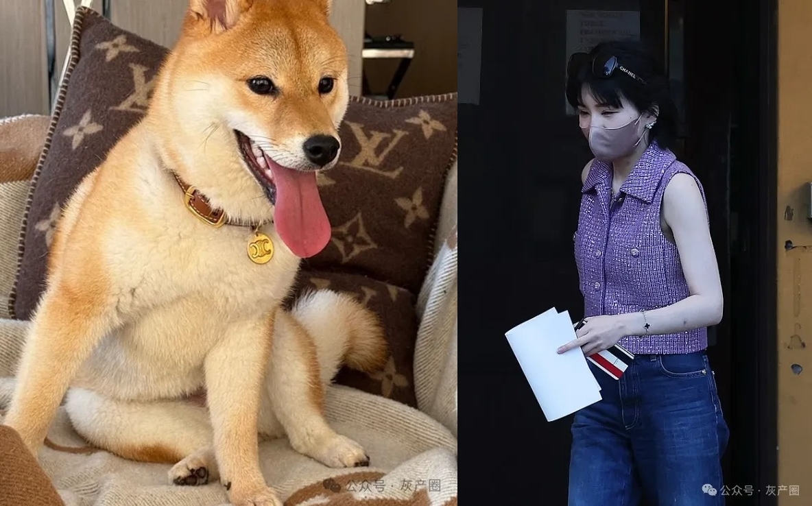 神祕富家女楊蘭蘭不僅是香奈兒（Chanel）在澳洲的VVIP顧客，更過著「人寵同享精品」的極奢生活。