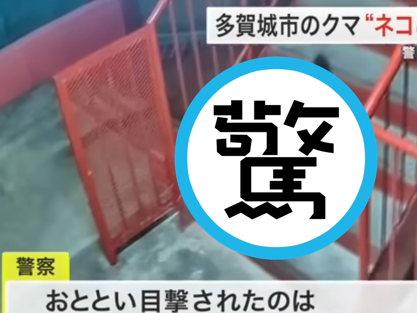 一個碩大的黑影從樓梯間快速跑過，讓民眾嚇得趕緊報警。（翻攝自仙台放送ニュースチャンネルYouTube）