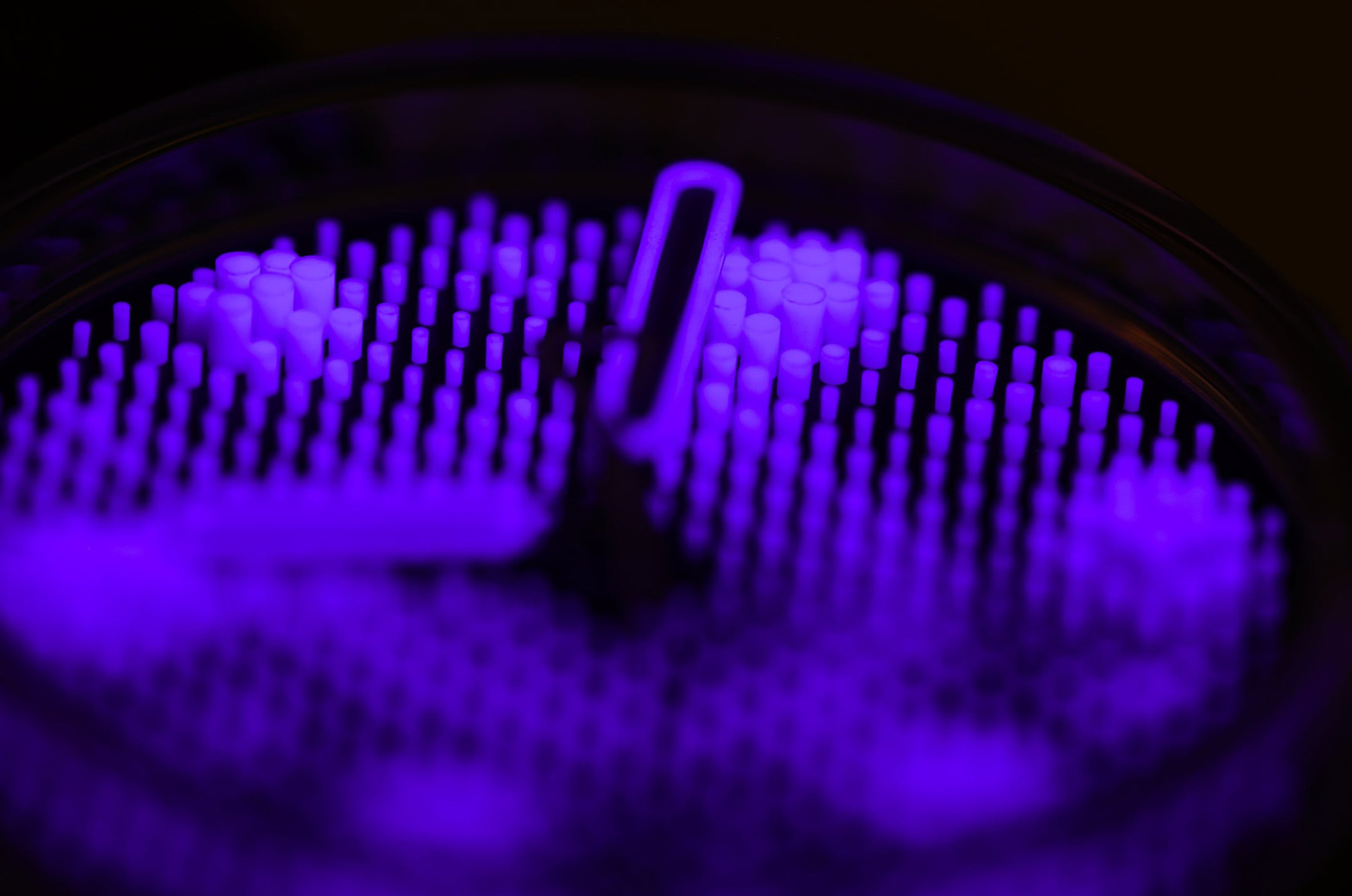 錶壇焦點／就是那道光！Kollokium Projekt 01 Variant “F”的極限夜光實驗