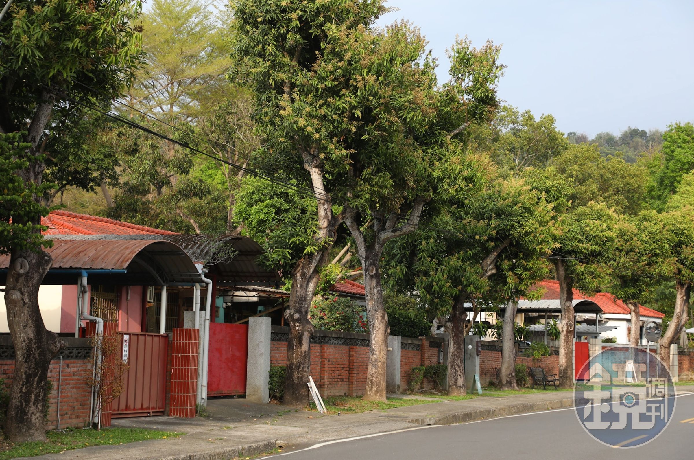 南投的「中興新村」前身為省政府駐地所在，老眷村在地方創生後長 出了新的樣貌。