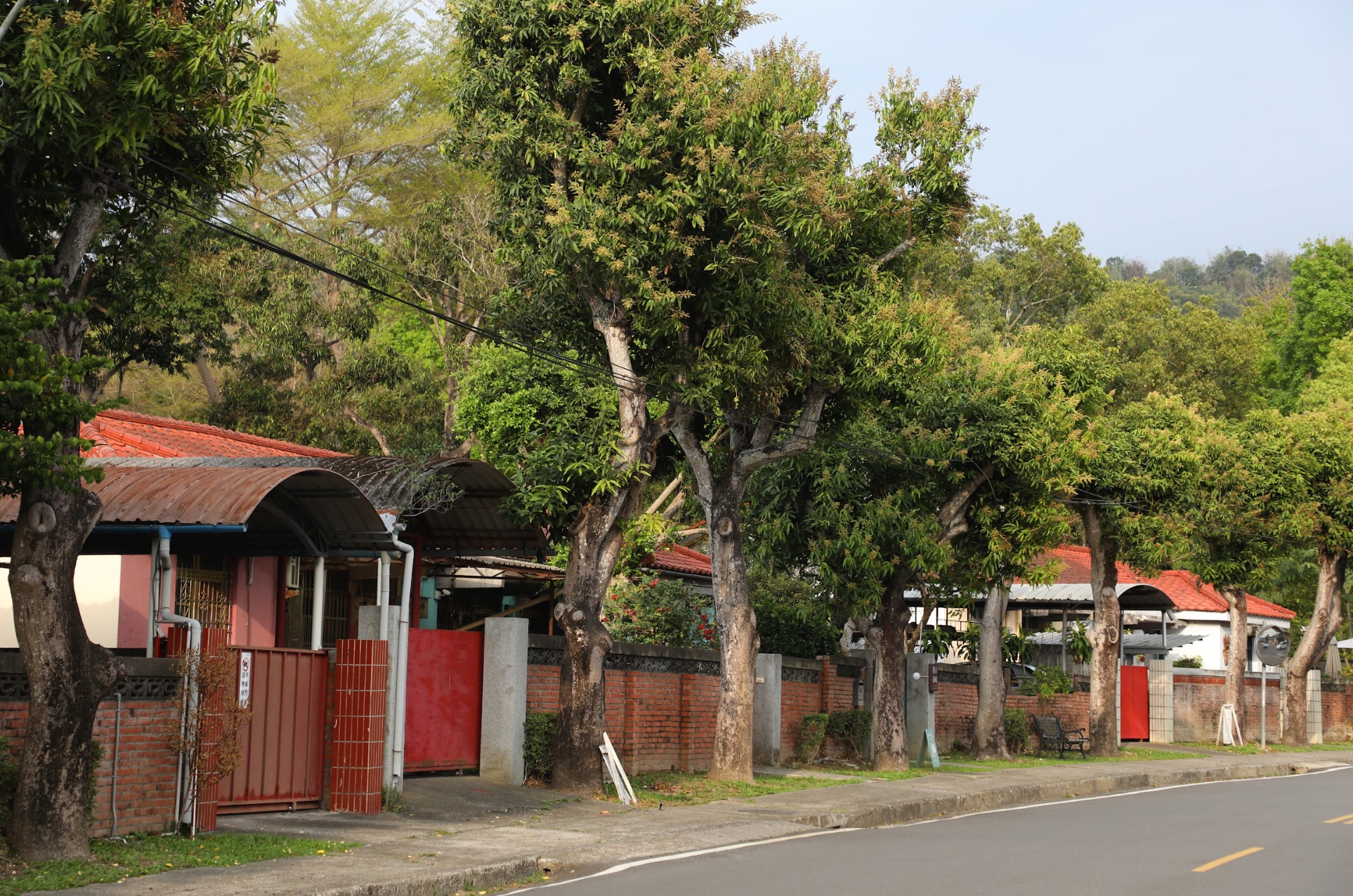 南投的「中興新村」前身為省政府駐地所在，老眷村在地方創生後長 出了新的樣貌。