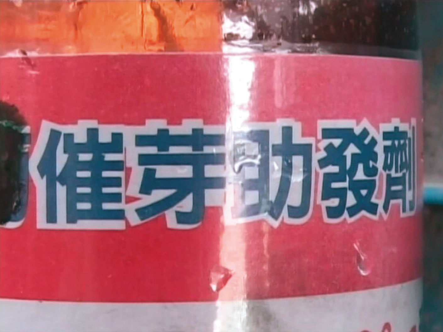 無色無味的催芽劑可加速葡萄發芽，但有劇毒。（東森新聞提供）