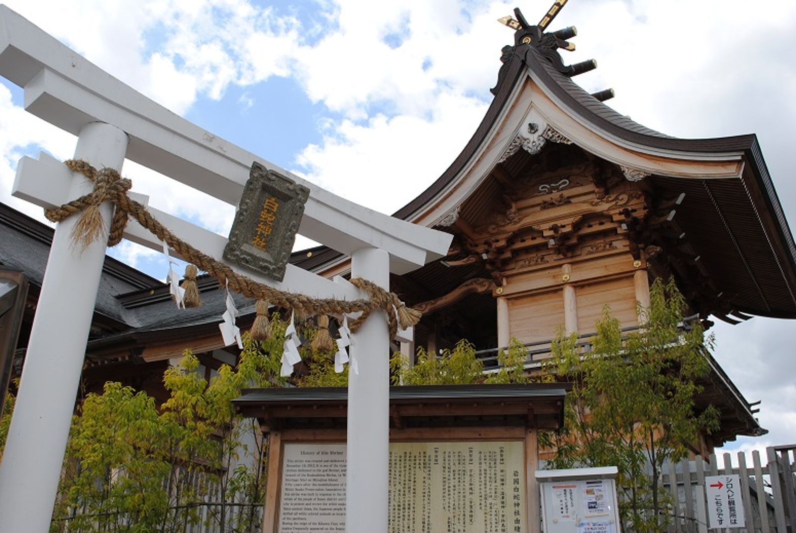 岩國白蛇神社吸引許多日本人參拜。（翻攝岩國白蛇神社X）