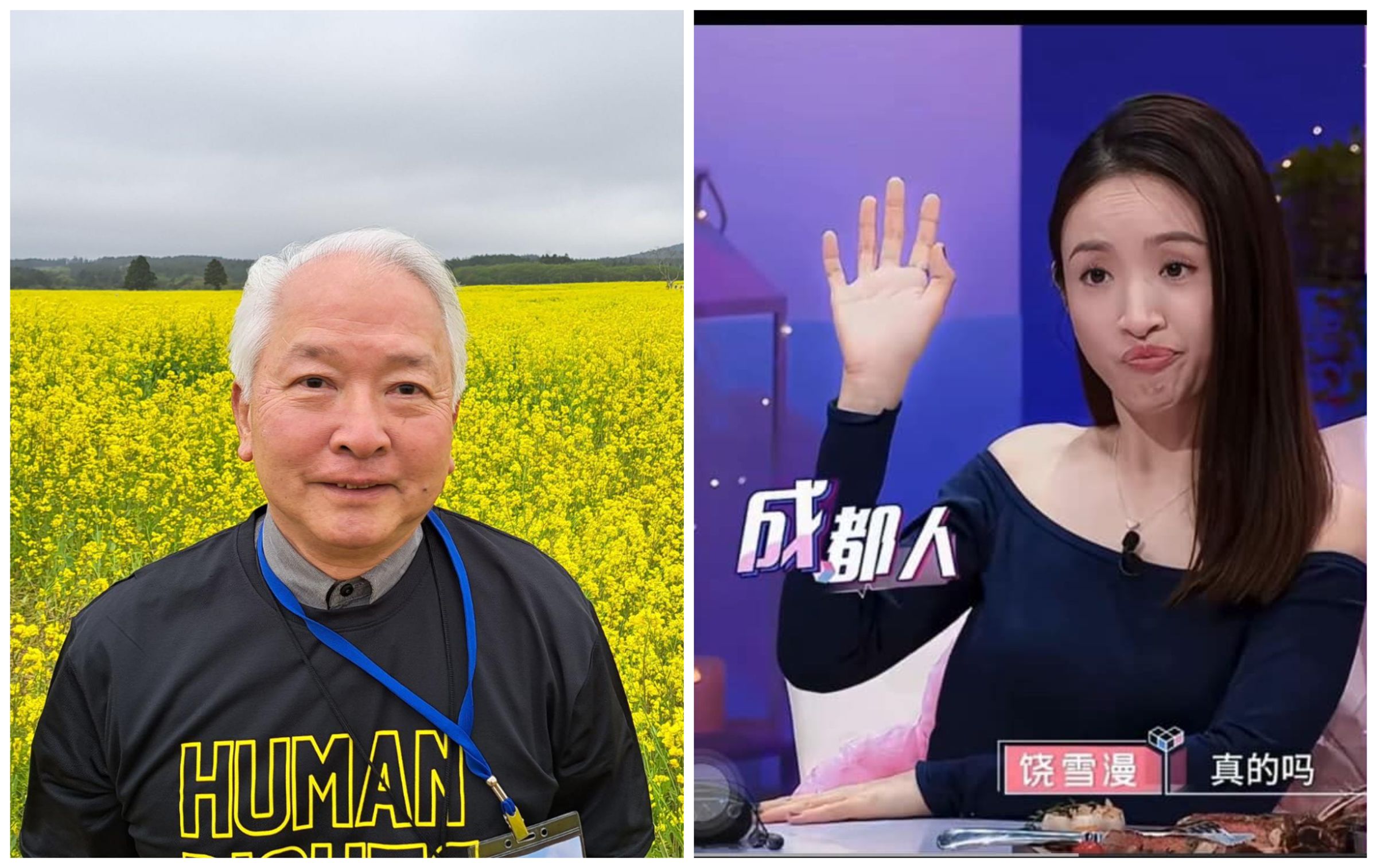 朱立熙（左圖）是林依晨（右圖）在政大的老師。（翻攝朱立熙臉書、網路圖片）