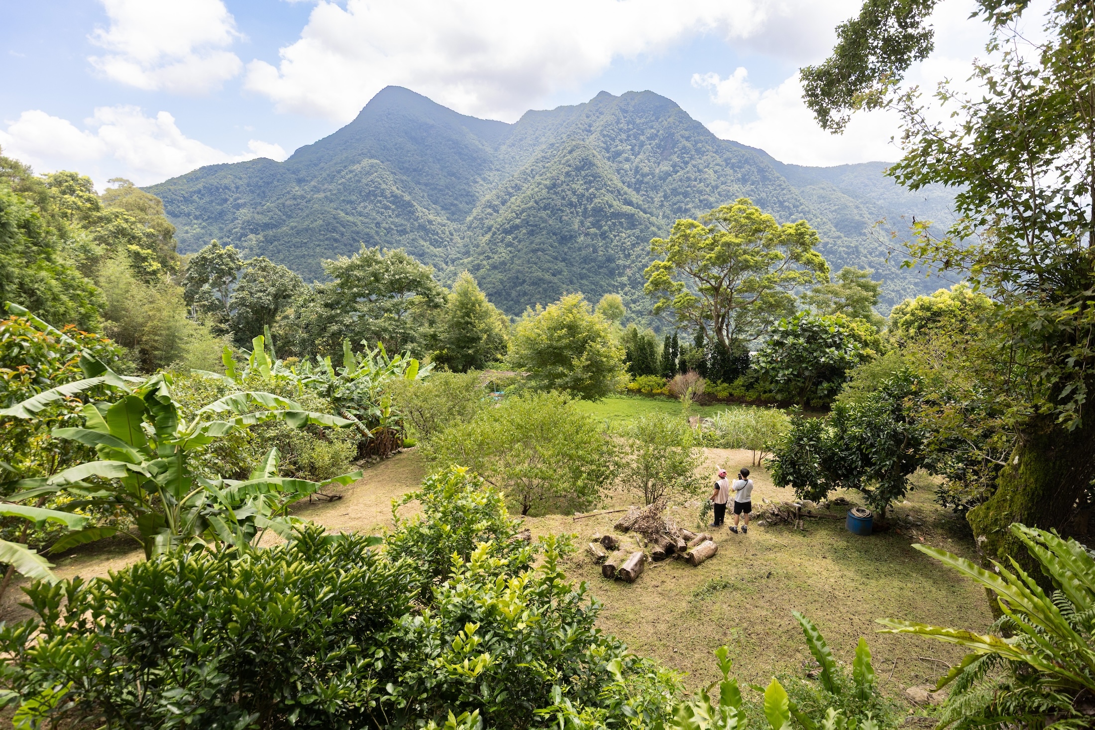 烏來「葛思悠農場」正對著美人山,層層山巒勾勒出女子側臥的輪廓,在山嵐與綠意襯托下,充滿山居詩意。