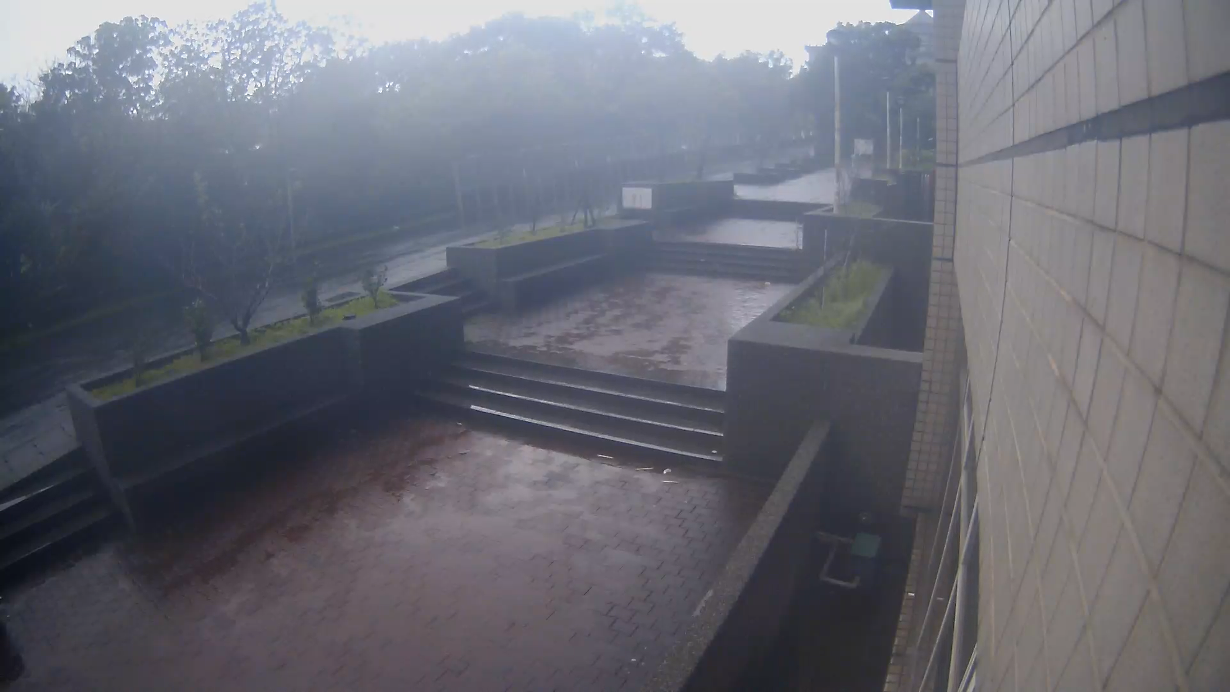 受東北季風與颱風外圍環流影響，北部地區雨勢與強風明顯，位於北市士林區陽明山上的文化大學今日採取遠距教學一天。（翻攝文化大學校園即景）