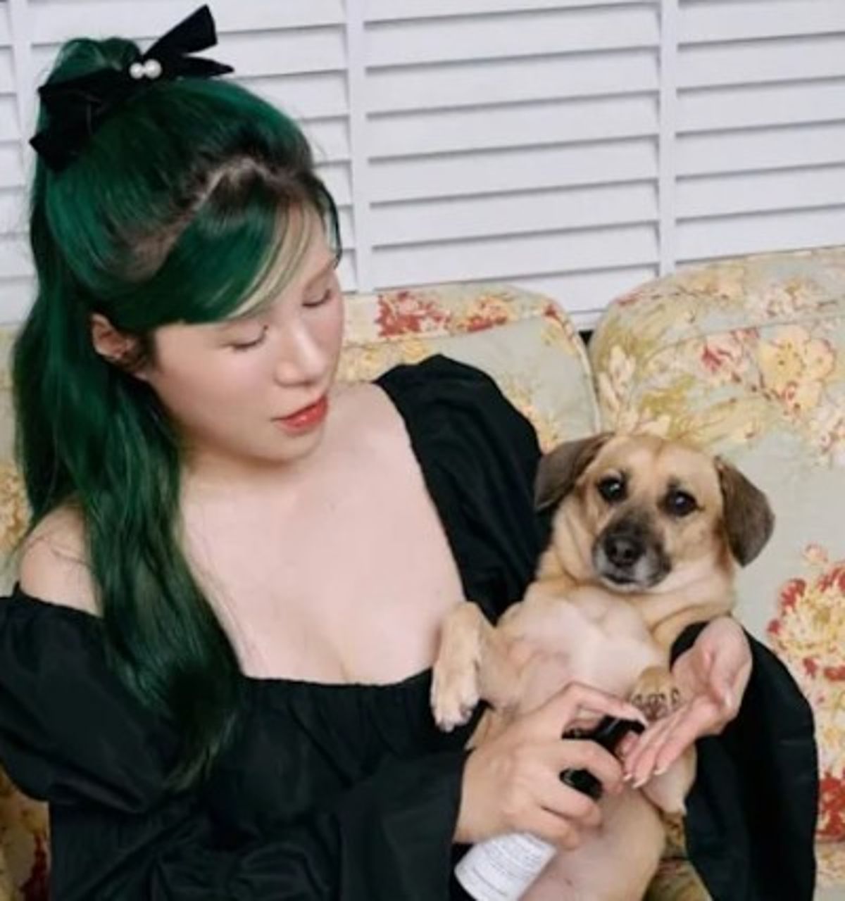 丹妮婊姐驅車從台北直送花蓮,載送動物需要的物資。(翻攝IG/dannybeeech))
