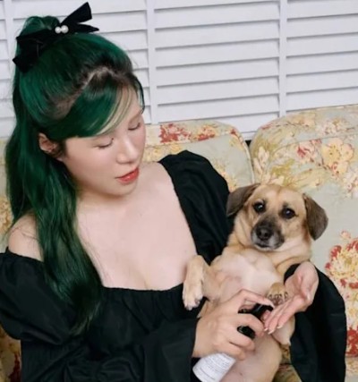 丹妮婊姐驅車從台北直送花蓮，載送動物需要的物資。（翻攝IG／dannybeeech））