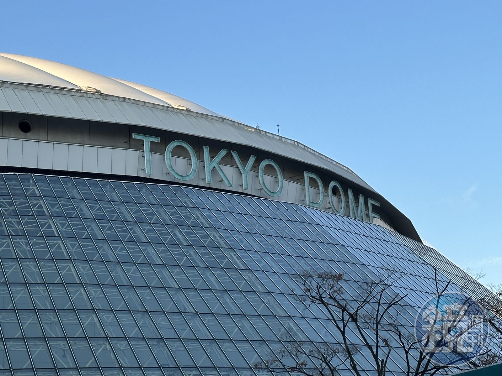 Netflix獨占WBC日本轉播權!重申「不賣電視台」 擬推1方案讓球迷觀賽