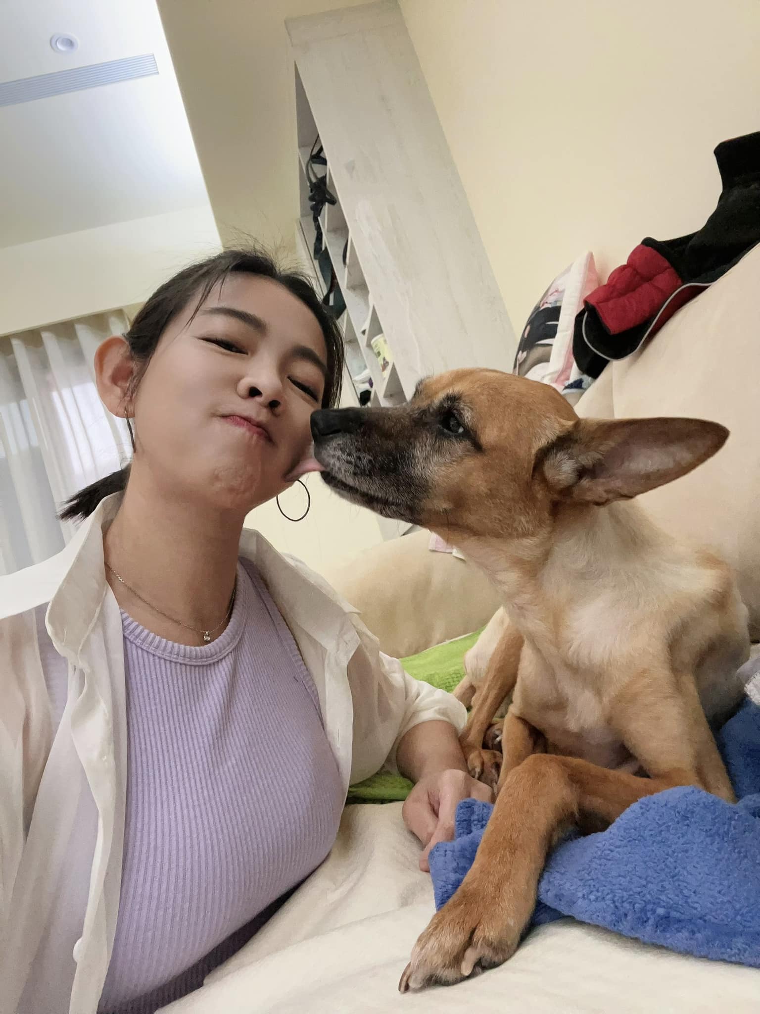 米可白近期照顧罹患胃癌的愛犬。(翻攝米可白臉書)
