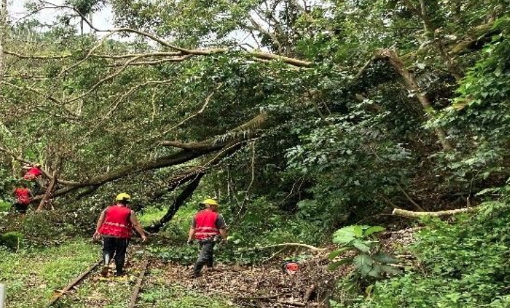 凱米颱風的無情侵襲，導致阿里山林鐵有116處災損。（林鐵及文資處提供）