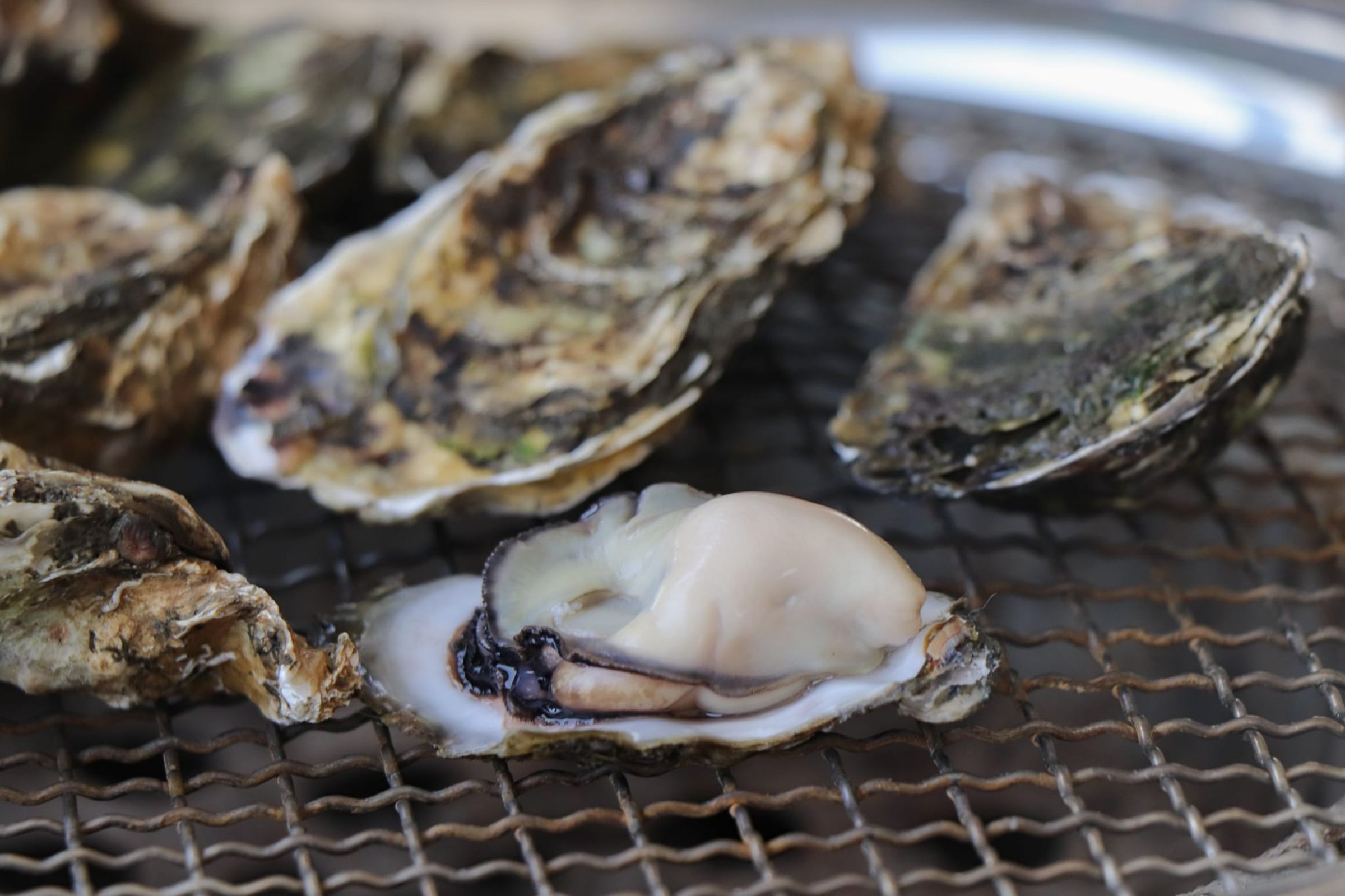屏東縣東港鎮一間燒烤店「碳集蚵仔200吃到飽」，傳出食物中毒案，目前店家已暫停營業。（翻攝自臉書碳集烤蚵吃到飽）