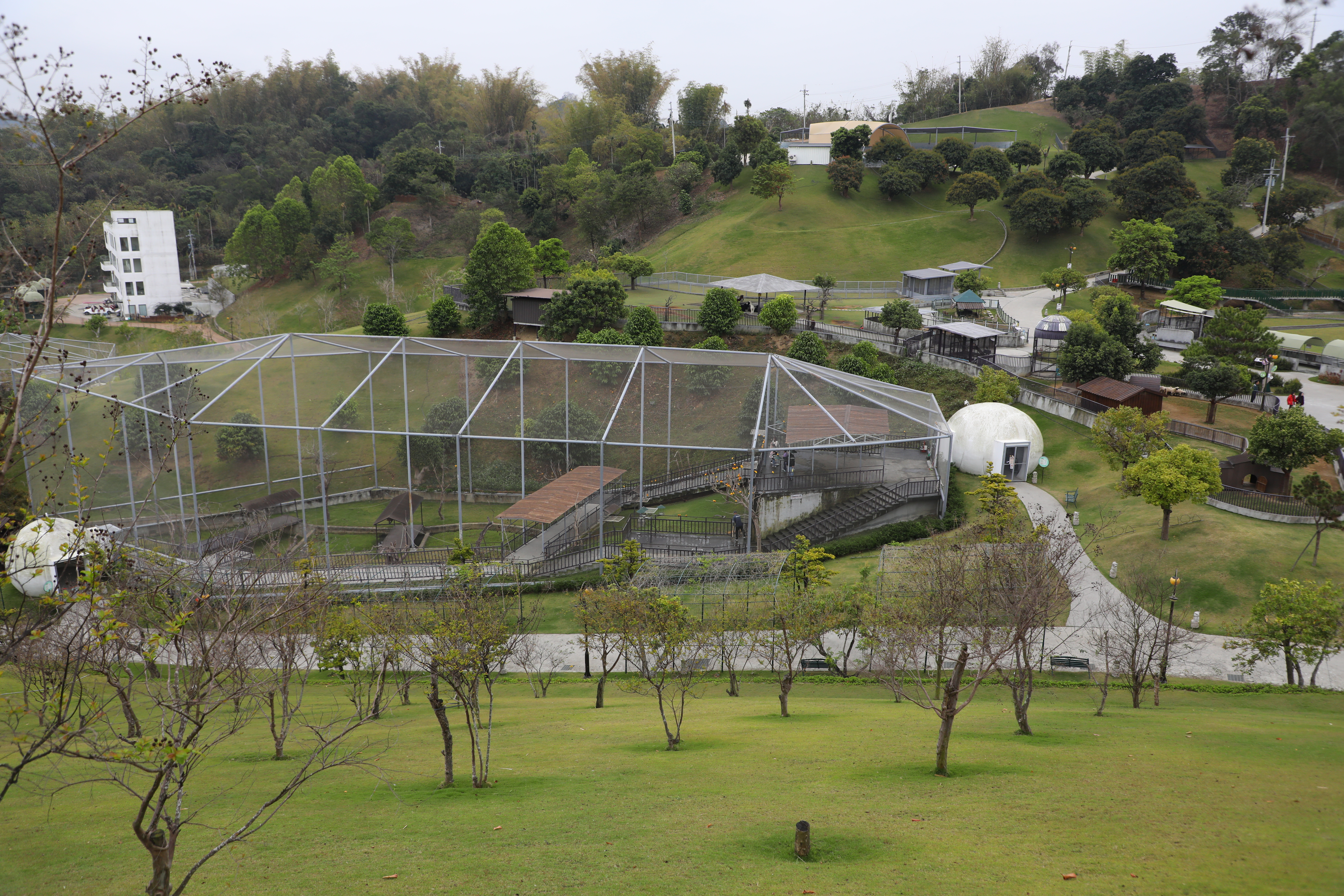 「九九峰動物樂園」園區占地21公頃，共規劃12個主題區域，是亞洲規模最大的鳥類主題樂園之一。