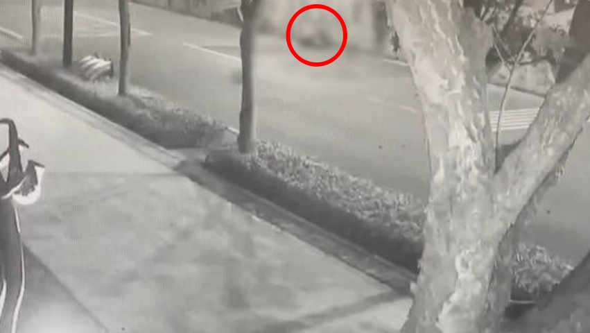 然而，這名男子卻毫髮無傷地從車底下鑽出，並翻牆離開。此行為嚴重影響列車運行，警方依公共危險罪偵辦。（翻攝畫面）