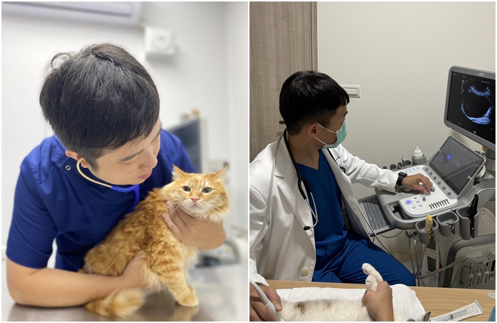 今年全台共有近300間動物醫院一同響應「健檢及早，相伴到老」活動。（法國皇家提供）