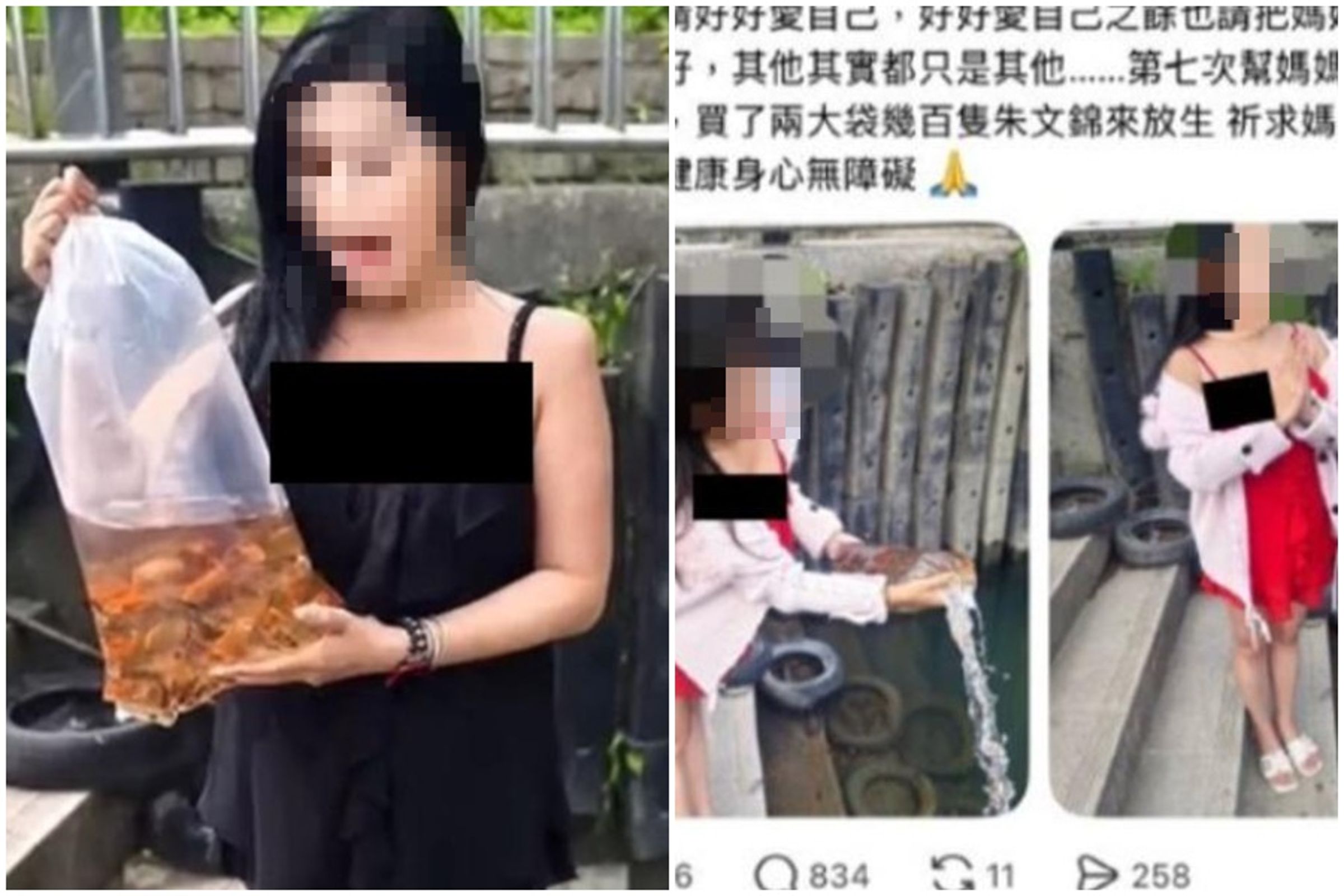新北市中和區一名徐姓女網友多次放生數百隻金魚，引發關注。（翻攝自新北市動保處）