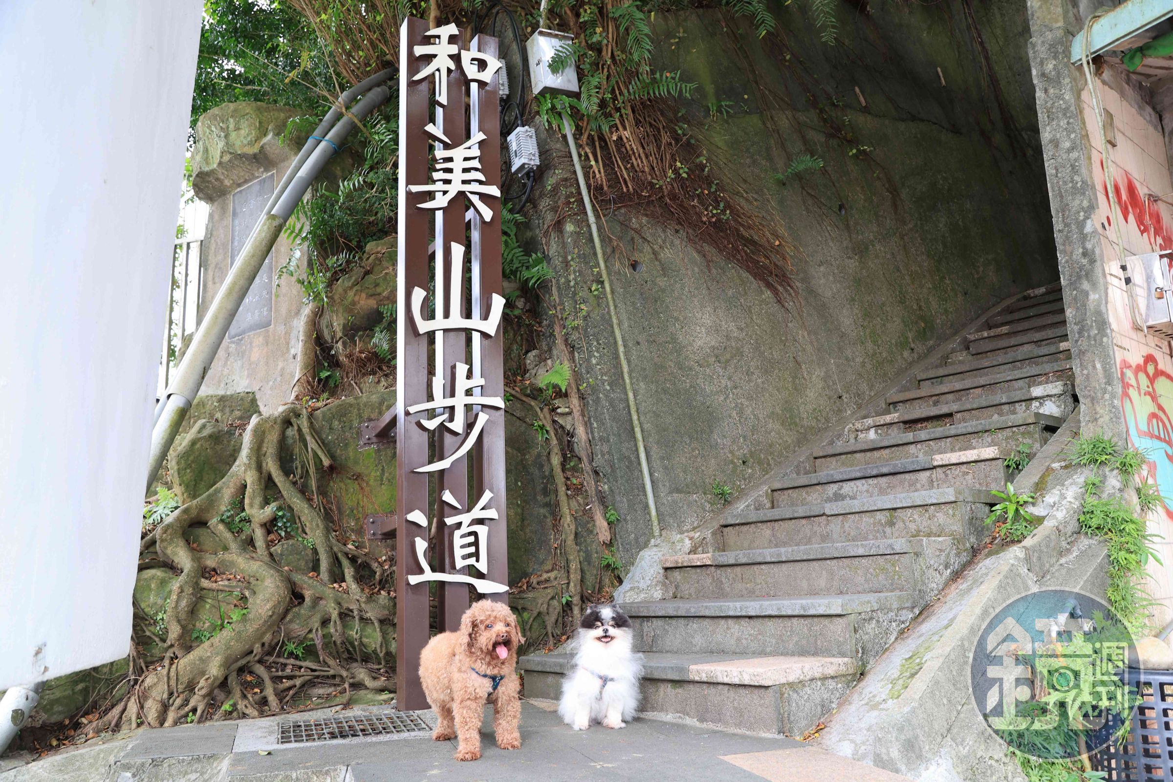 新店區和美山。（新北市政府提供）