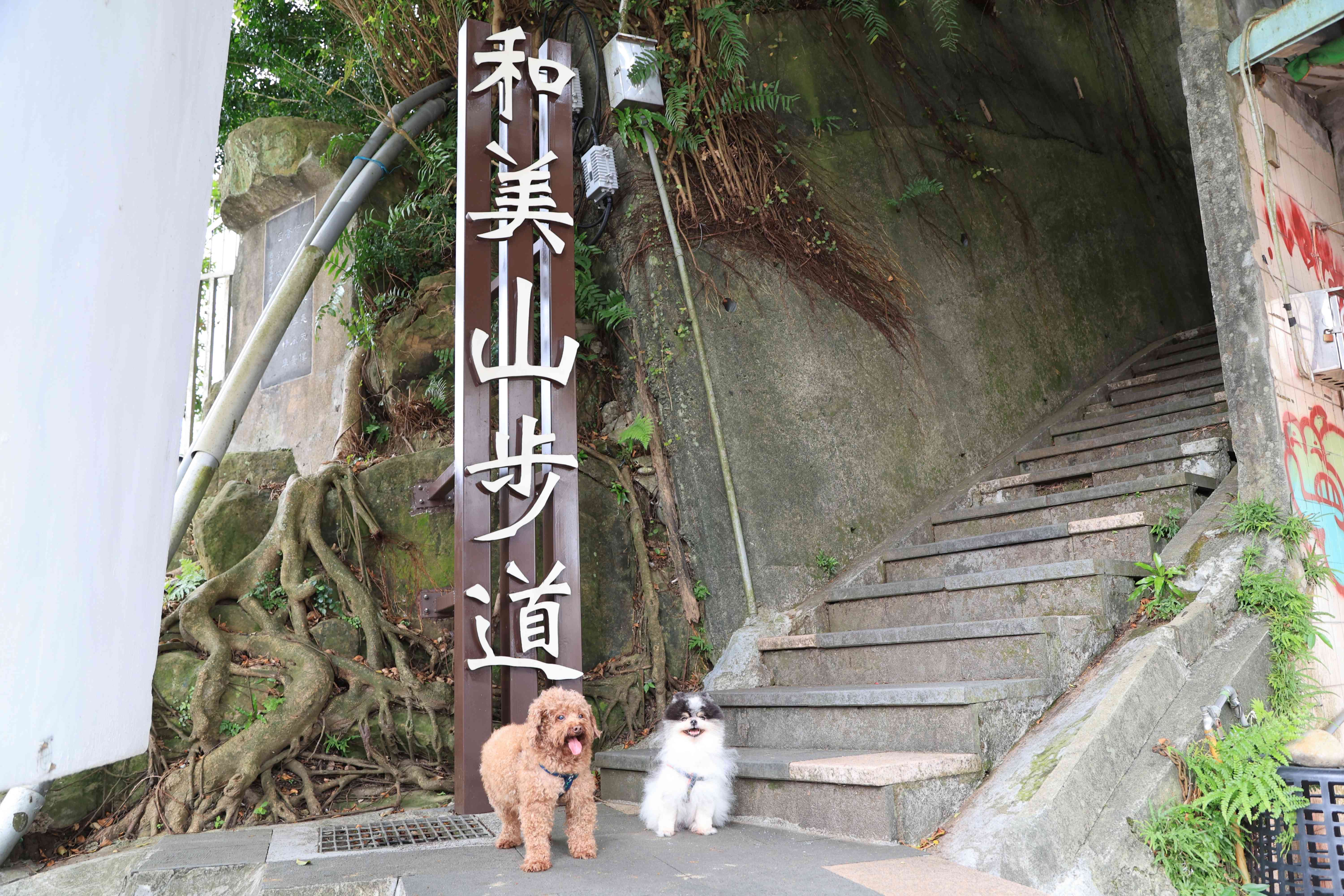 新店區和美山。(新北市政府提供)