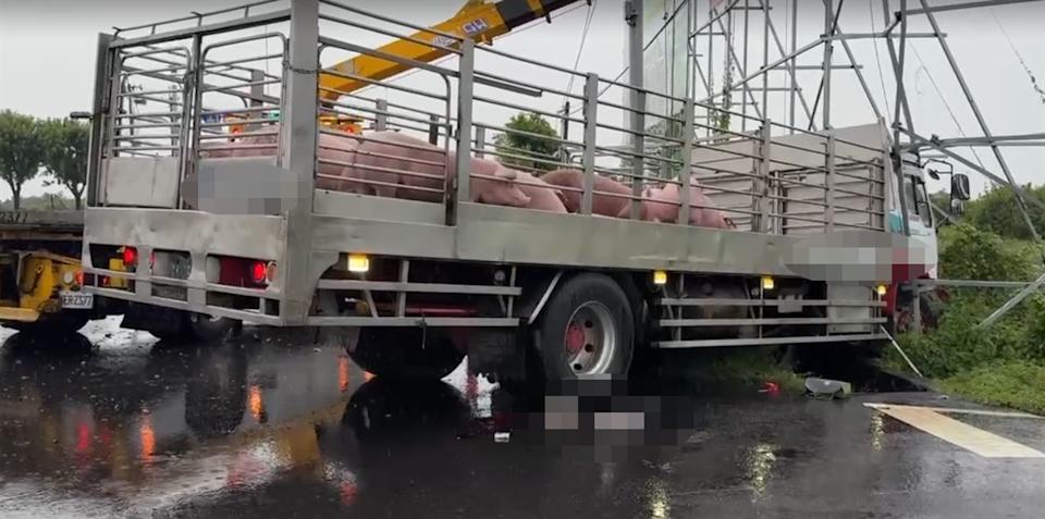 一輛載運豬隻的大貨車,今(15日)行徑台南市六甲區林鳳營台1線路段,追撞前方車輛後,失控再撞上停等紅燈的陳姓機車騎士。(翻攝畫面)