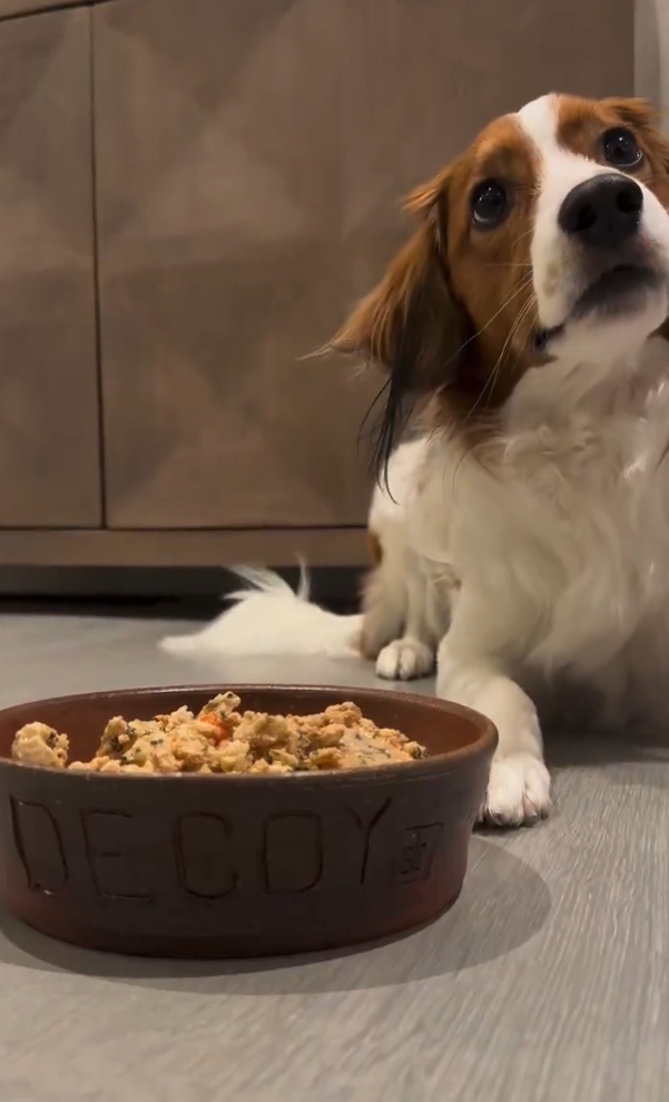 大谷愛犬「彈額頭（Decoy）的飼料碗出自山本由伸的手。（翻攝IG）