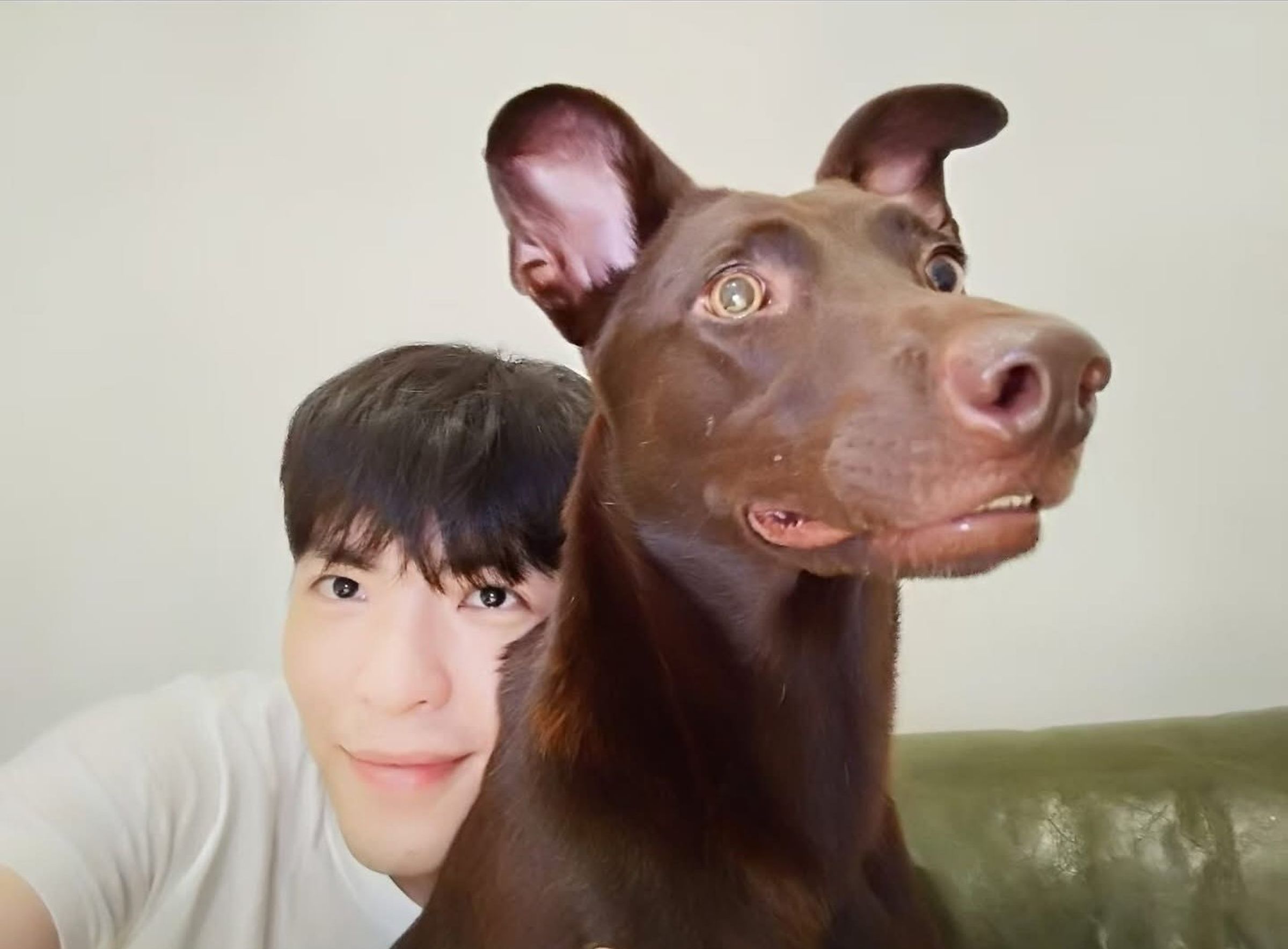蕭敬騰不捨愛犬嘎比過世。(翻攝自蕭敬騰臉書)