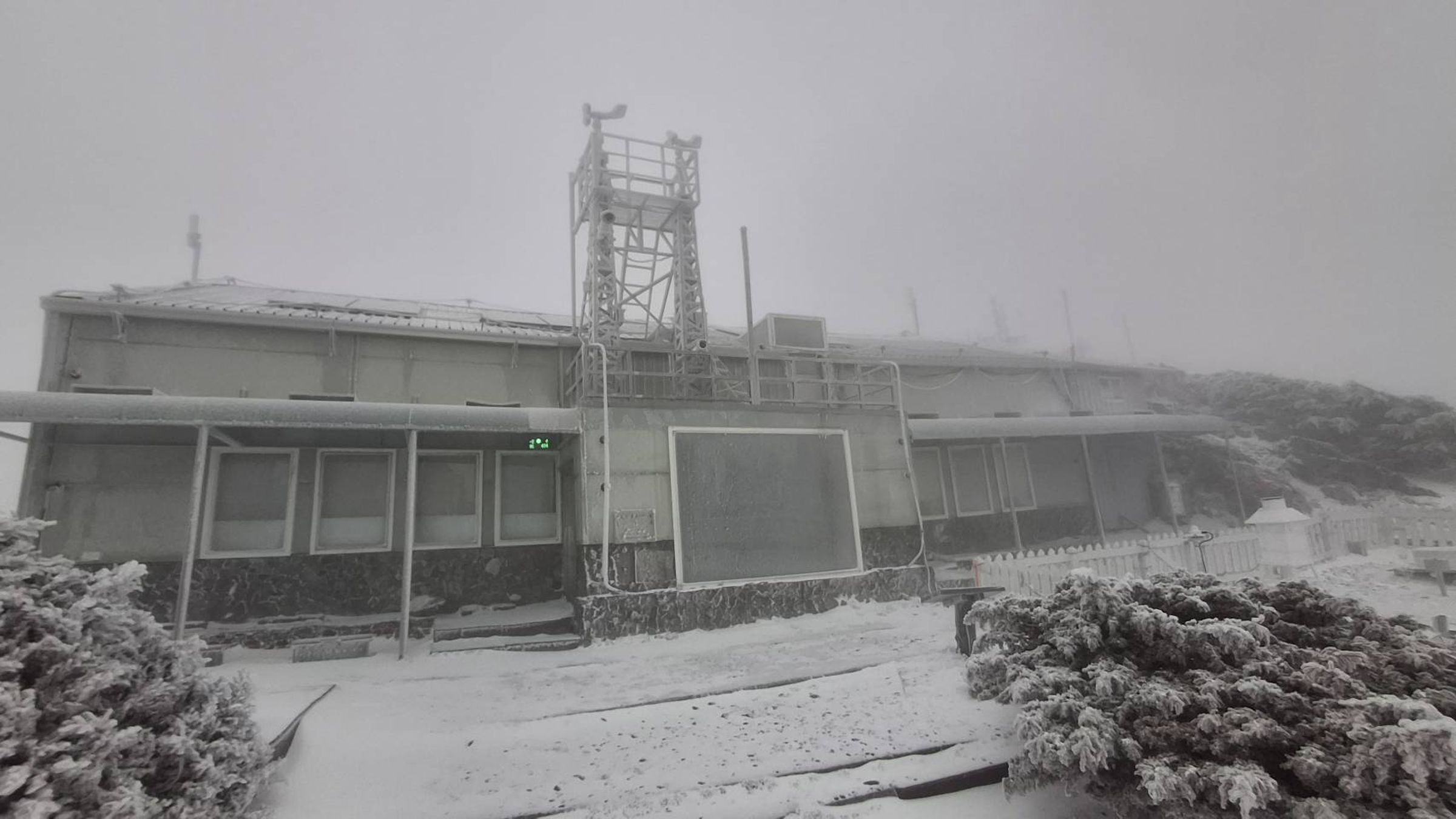 玉山累積積雪1公分並持續降雪，一片銀白世界宛如仙境。（翻攝自臉書粉專報天氣 - 中央氣象署）