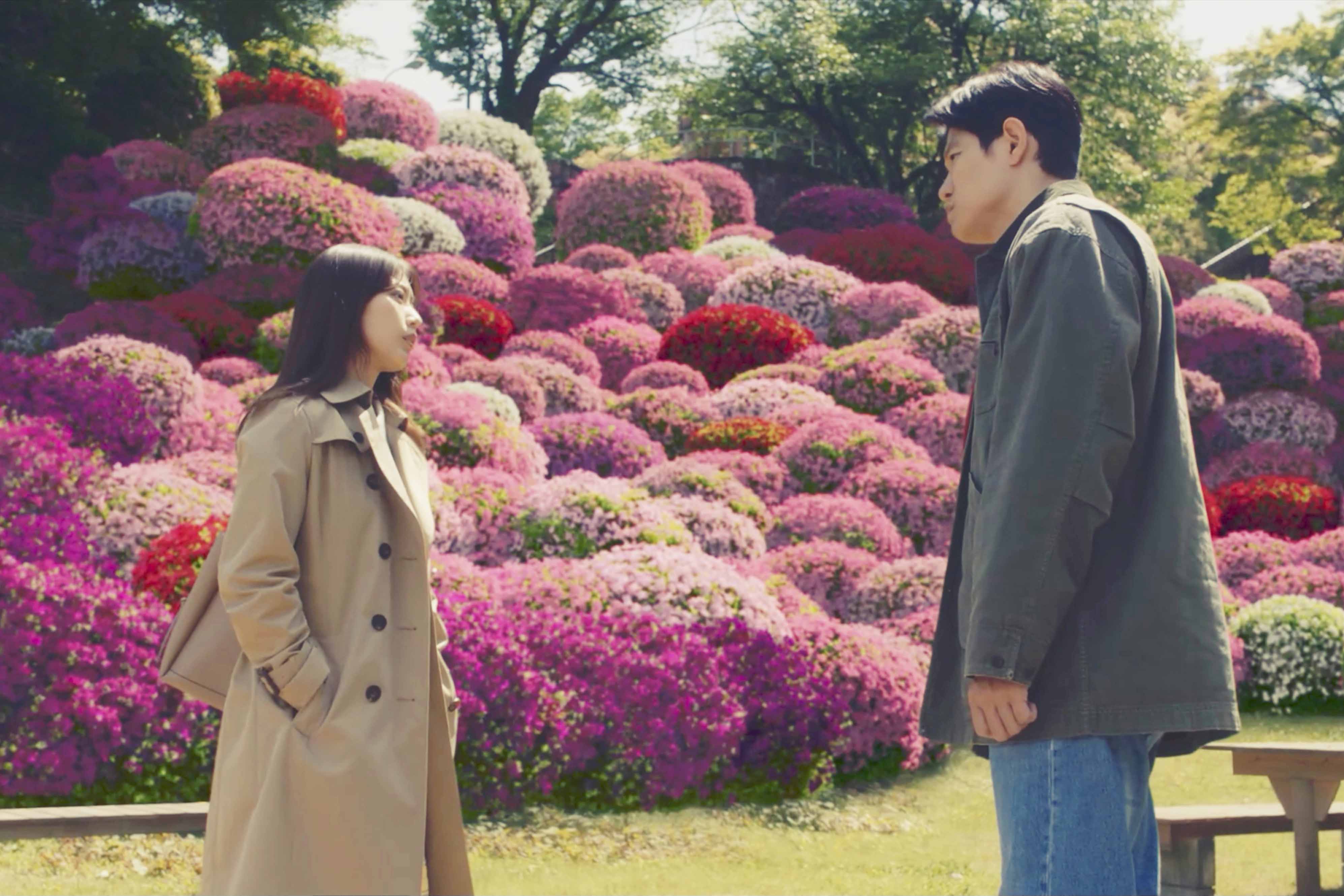 實力與人氣兼具的鈴木亮平（右）、有村架純（左）在《花便當的記憶》 飾演相依為命的兄妹。（天馬行空提供）