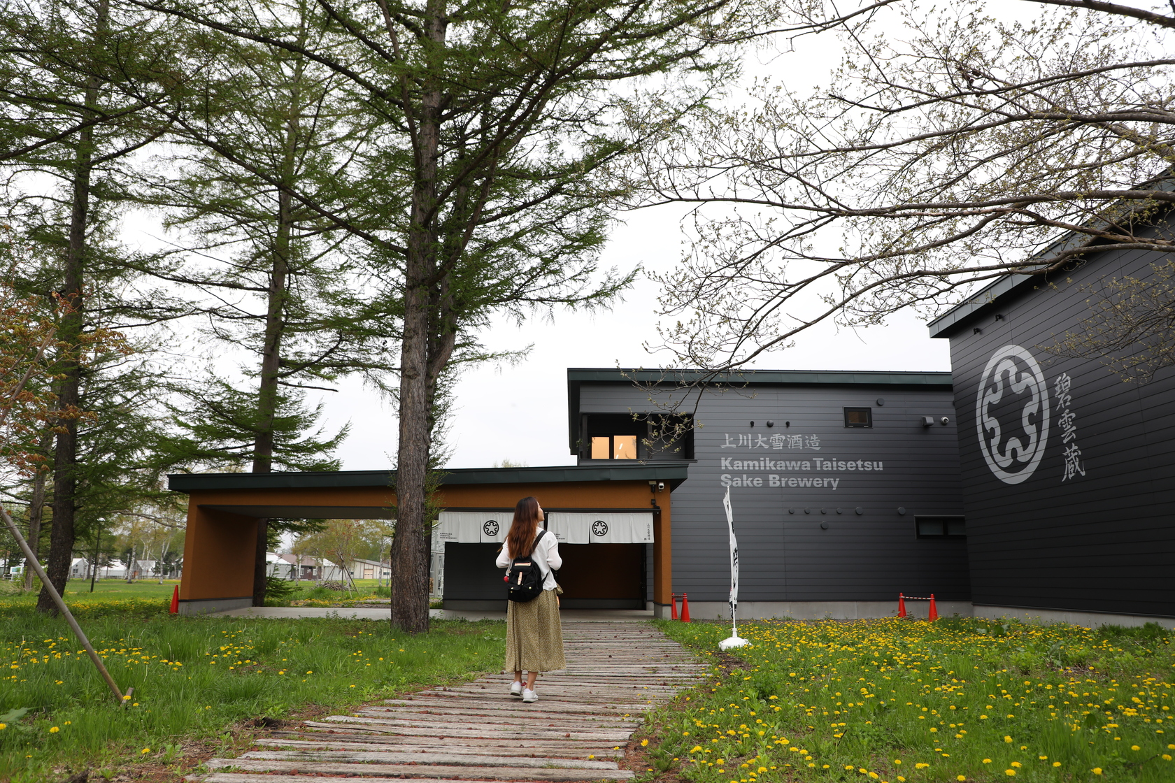「上川大雪酒造─碧雪藏」是日本第一座座落於校園內的酒廠。