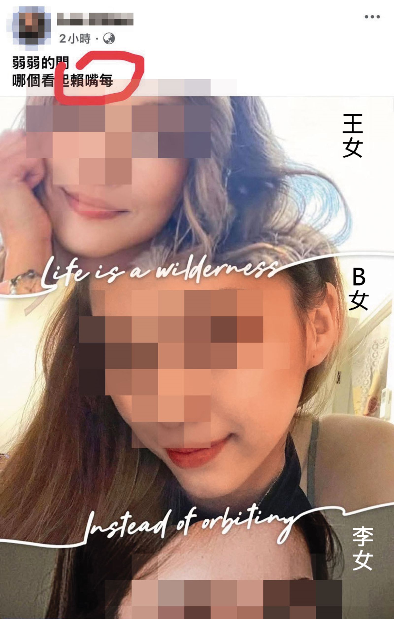 李姓女記者PO出自己跟王女、B小姐的照片,發文問誰看起來最美。(翻攝臉書)