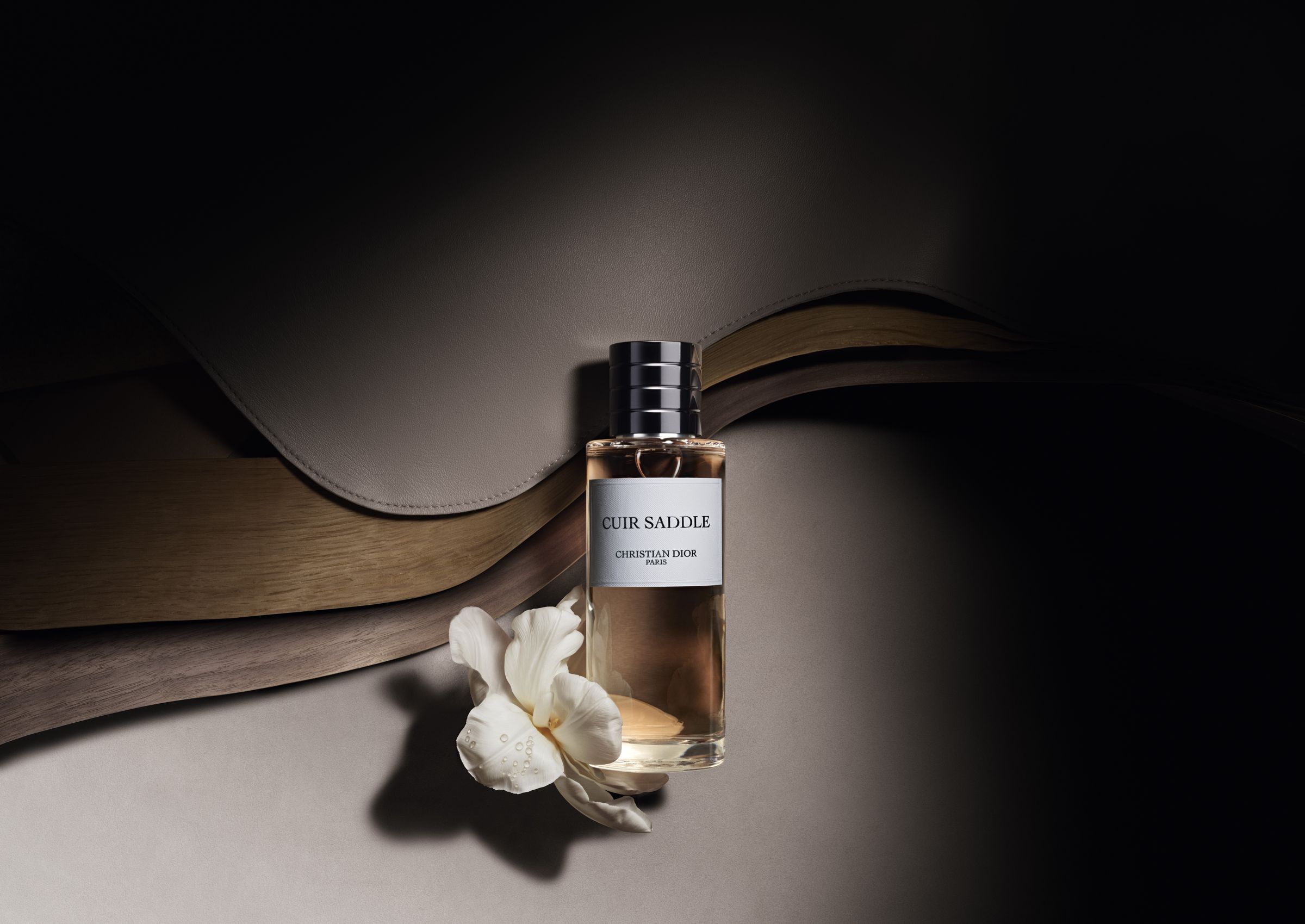 迪奧香氛世家皮革木語香氛。50ml/NT$6,700、100ml/NT$10,900、200ml/NT$16,100(DIOR提供)