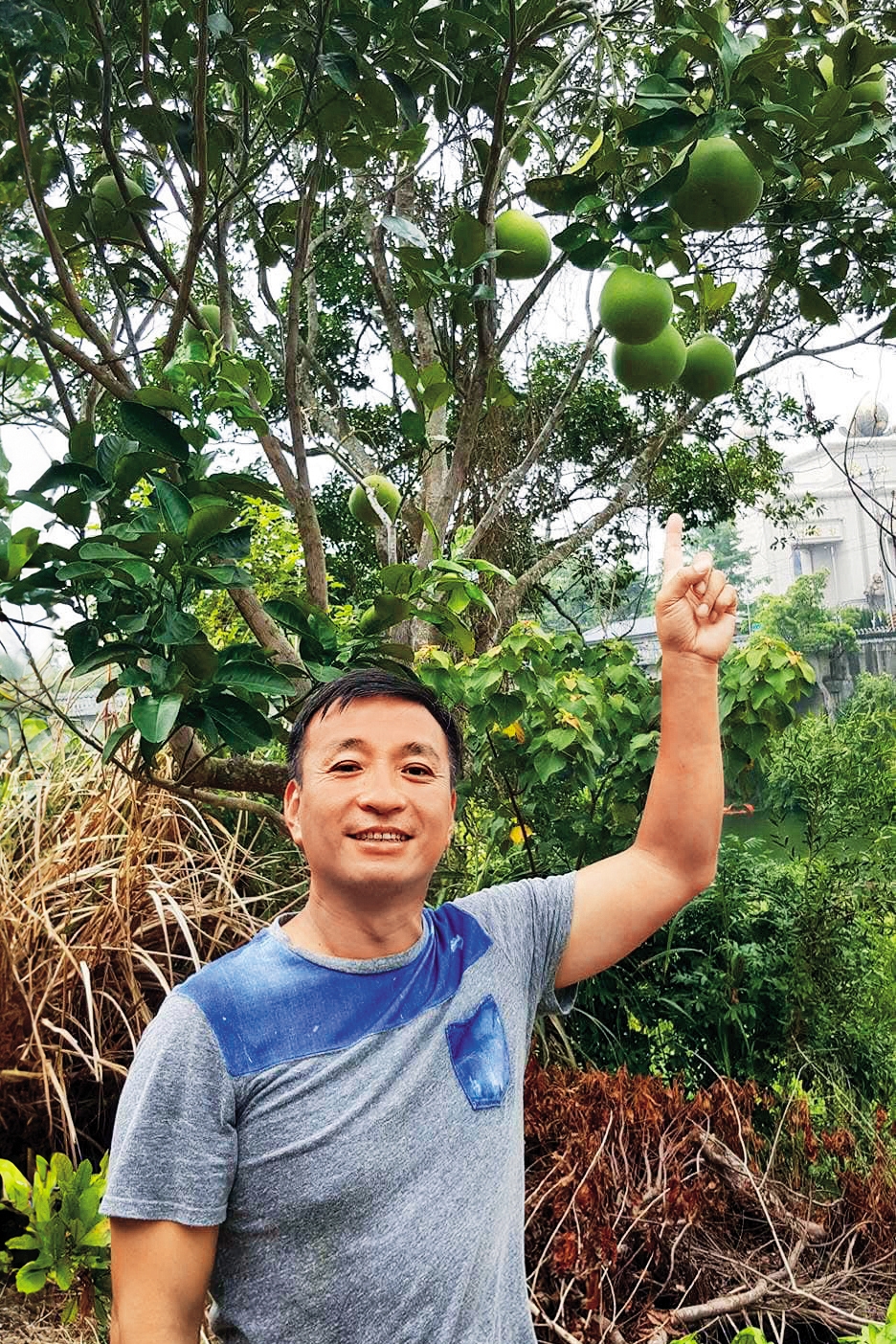 熱愛種果樹的王中平，喜歡從無到有的成就感。（翻攝自王中平和余皓然愛的小屋臉書）