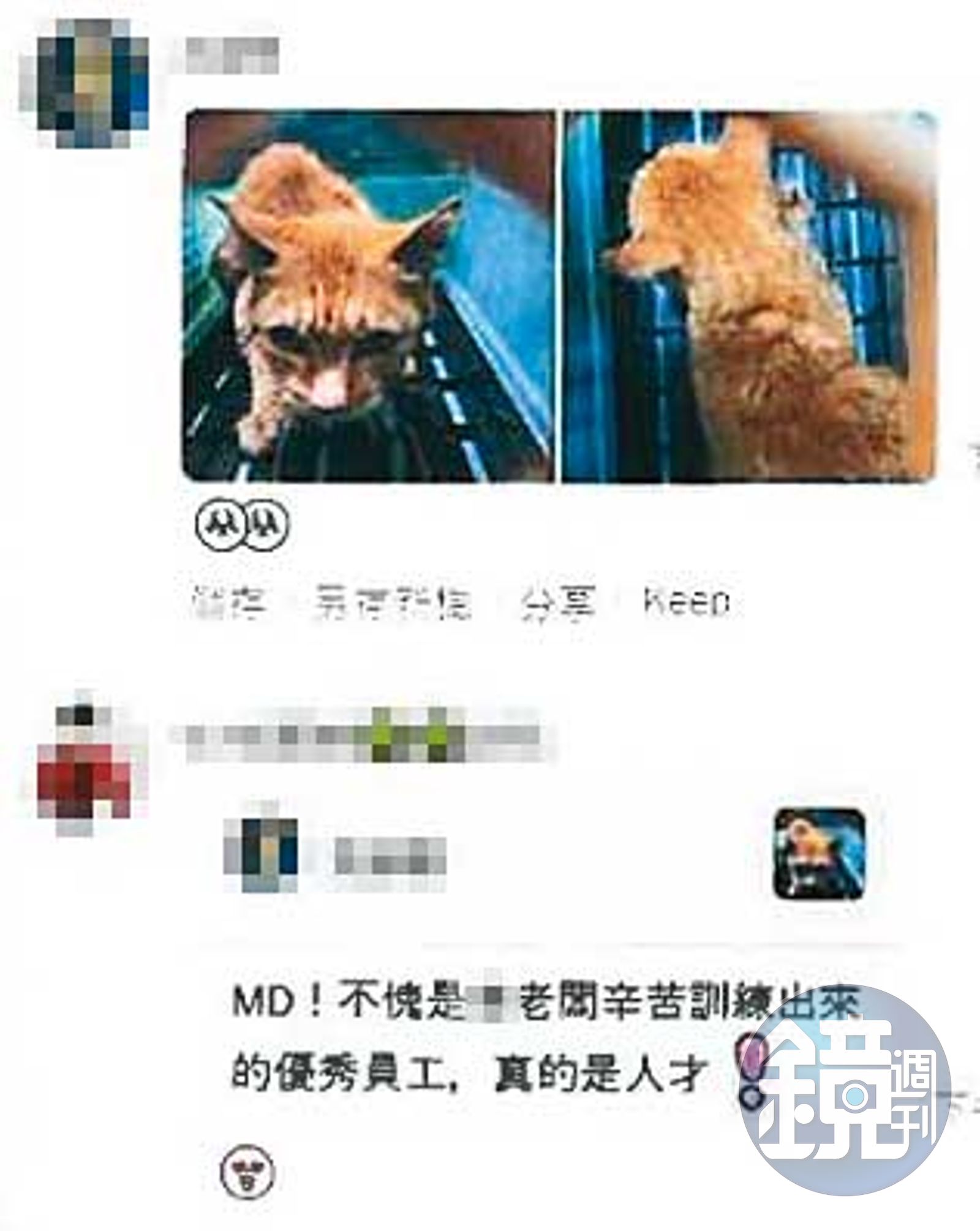 陳姓動保員遭控在動保處群組內，用嘲諷羞辱的言語霸凌舊廠商員工。（讀者提供）