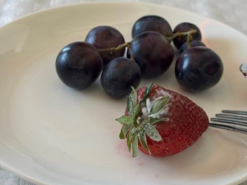 一名旅客先前搭乘長榮航空從巴黎返台的班機，卻發現飛機餐中的草莓已發霉。（翻攝爆料公社）