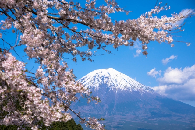 許多觀光客每年春季會安排到日本賞櫻。（示意圖，photoAC）