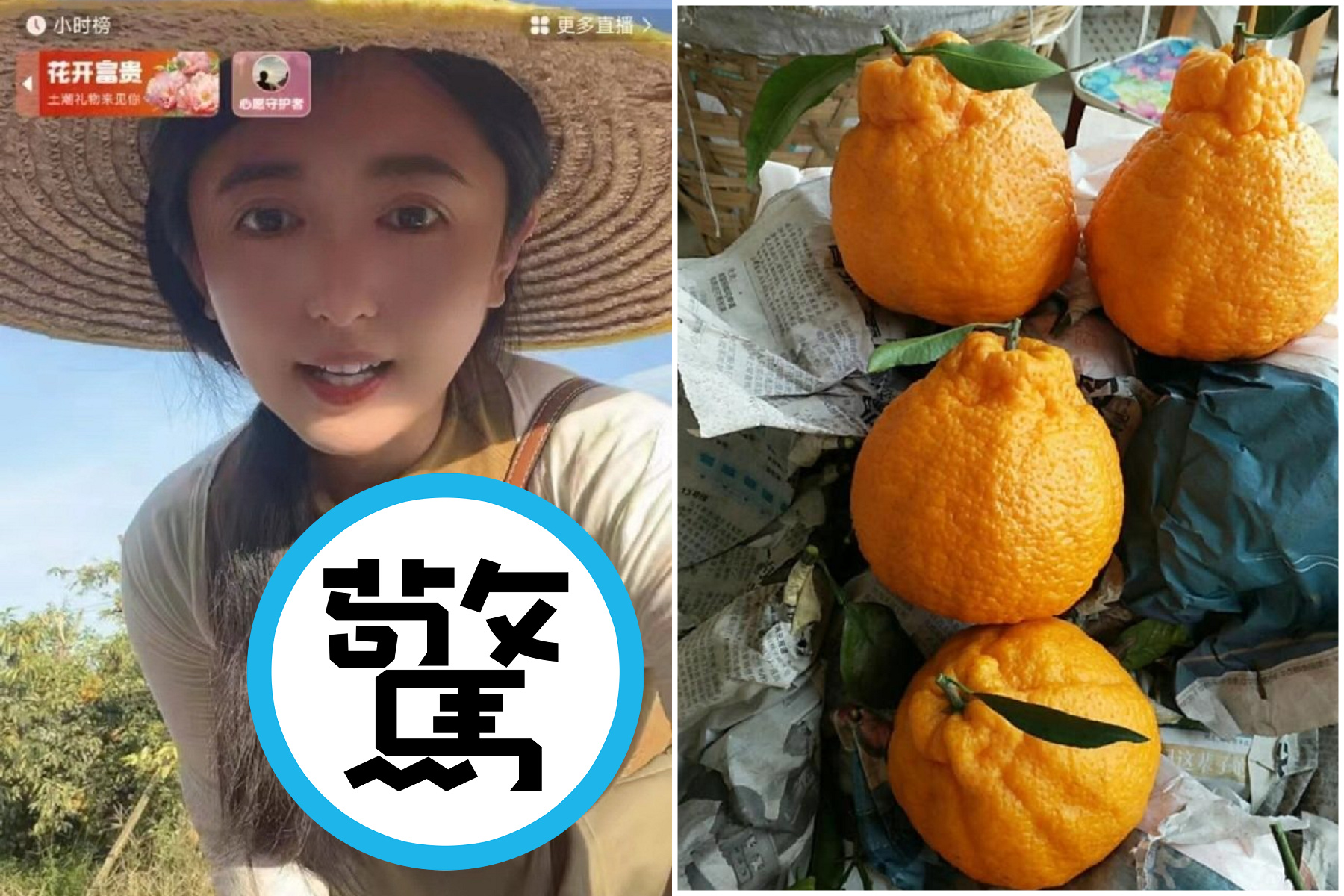 正妹直播帶貨賣柑橘，網驚見她胸前「果實累累」：一定很甜！（翻自微博）