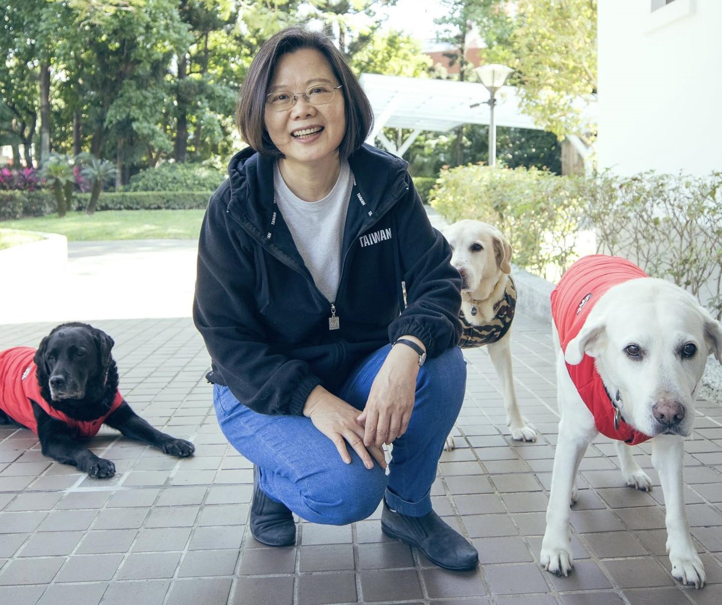 前總統蔡英文和三隻導盲犬毛小孩快樂相伴。（翻攝臉書＠蔡英文 Tsai Ing-wen）