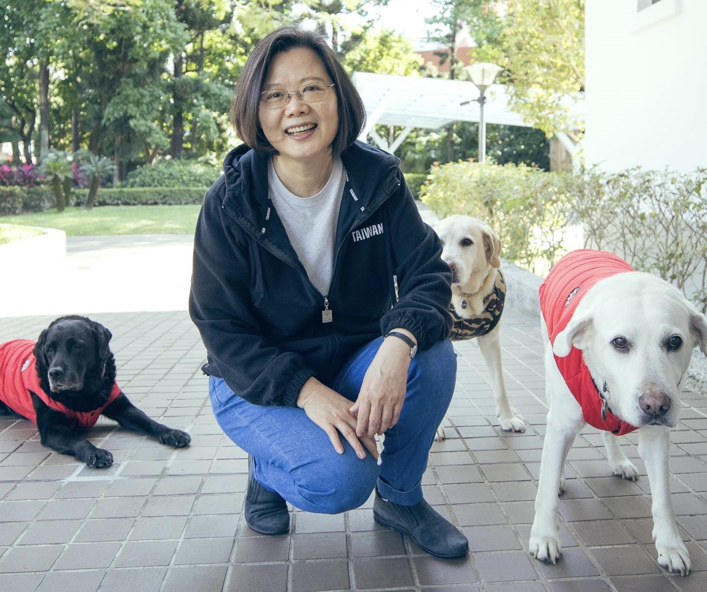 前總統蔡英文和三隻導盲犬毛小孩快樂相伴。（翻攝臉書＠蔡英文 Tsai Ing-wen）