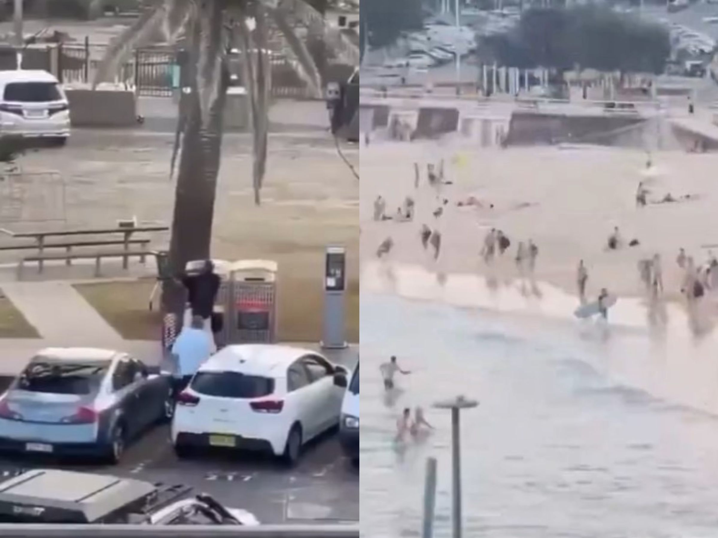 澳洲雪梨知名景點邦迪海灘(Bondi Beach)昨(14日)晚間發生恐怖攻擊事件。(翻攝自X)