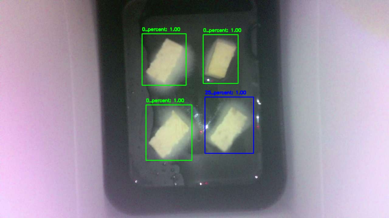 瑞創框架科技執行長朱濬謙為正昇食品開發的食品發酵AI,會不間斷捕捉豆腐發酵的菌體形態、顏色、氣泡等,建立一套品質預測模型。(瑞創框架科技 提供)