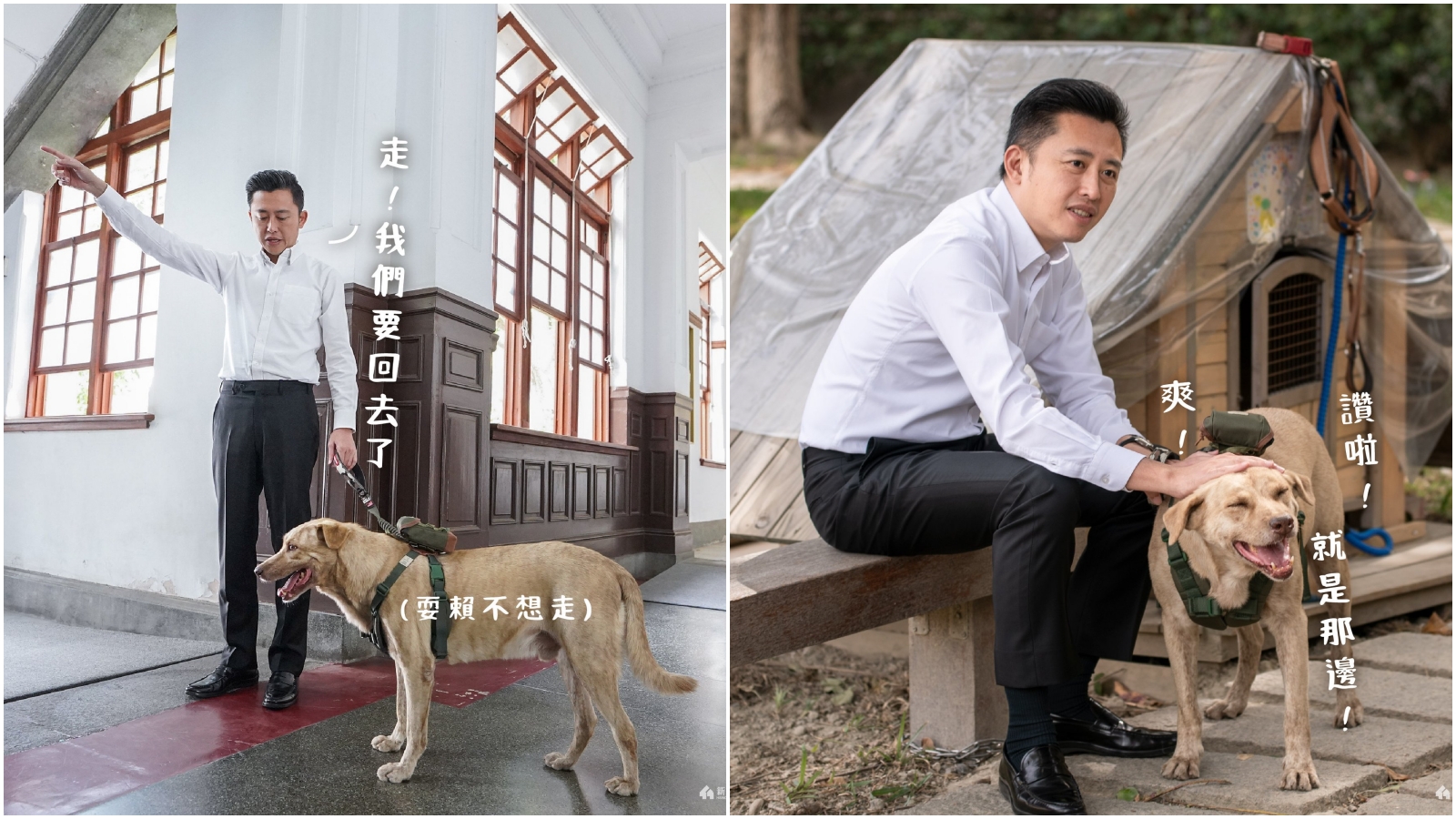 前新竹市府犬「棕棕」被退回動物收容所，林智堅首度發聲。（翻攝林智堅臉書）