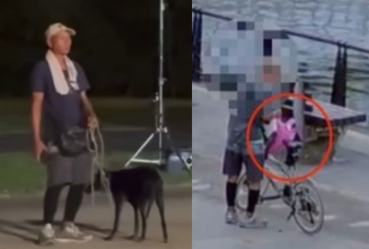 不知悔改！街友虐狗後又綁貓，遭警方聲押，法院已裁定羈押。（翻攝畫面）