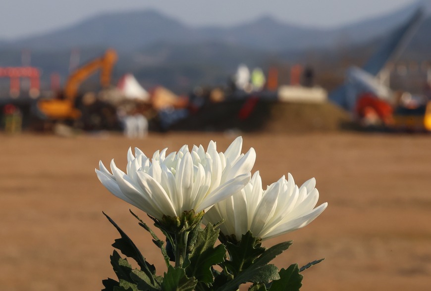 家屬們今重返失事現場舉行追思會。（翻攝自@now__report X）