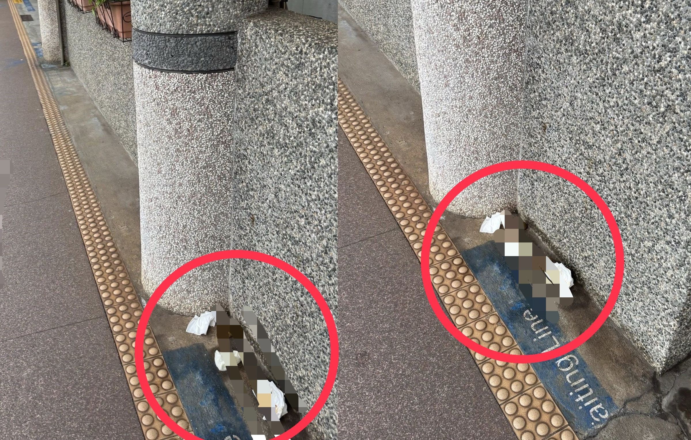 台鐵宜蘭站月台竟然出現兩大坨人類糞便。（翻攝自靠北台鐵臉書）