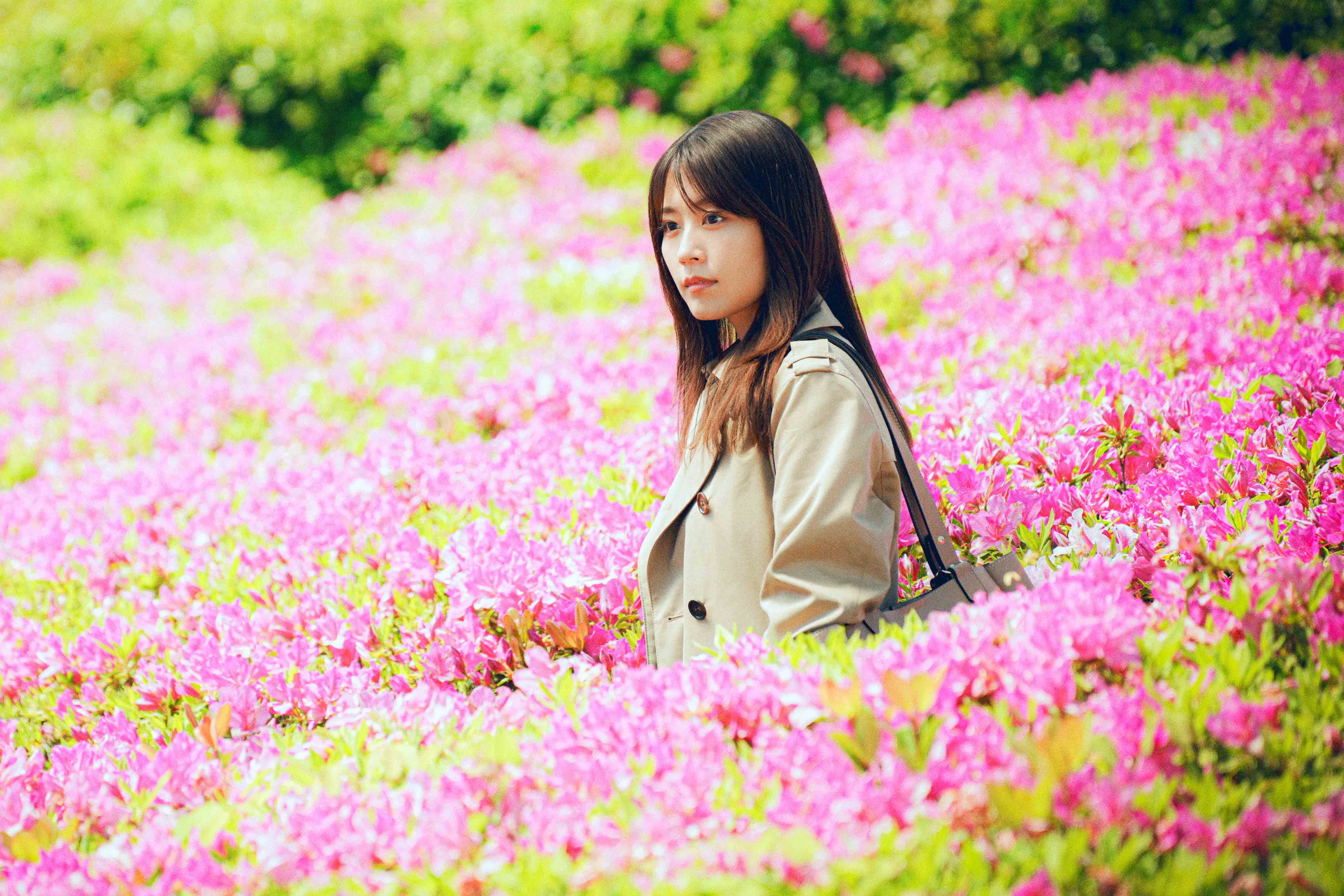《花便當的記憶》有村架純飾演的角色文子從小懷有祕密。 （天馬行空提供）