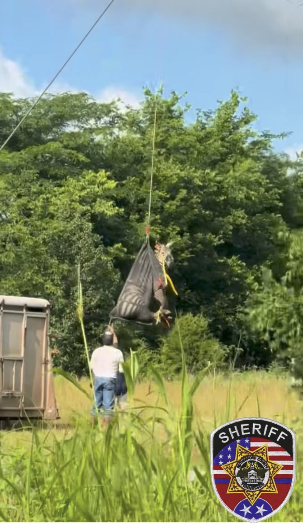警方動用直升機，最終將Ed平安送至動物運輸車輛，返還給飼主。（翻攝Rutherford County Sheriff's Office臉書）
