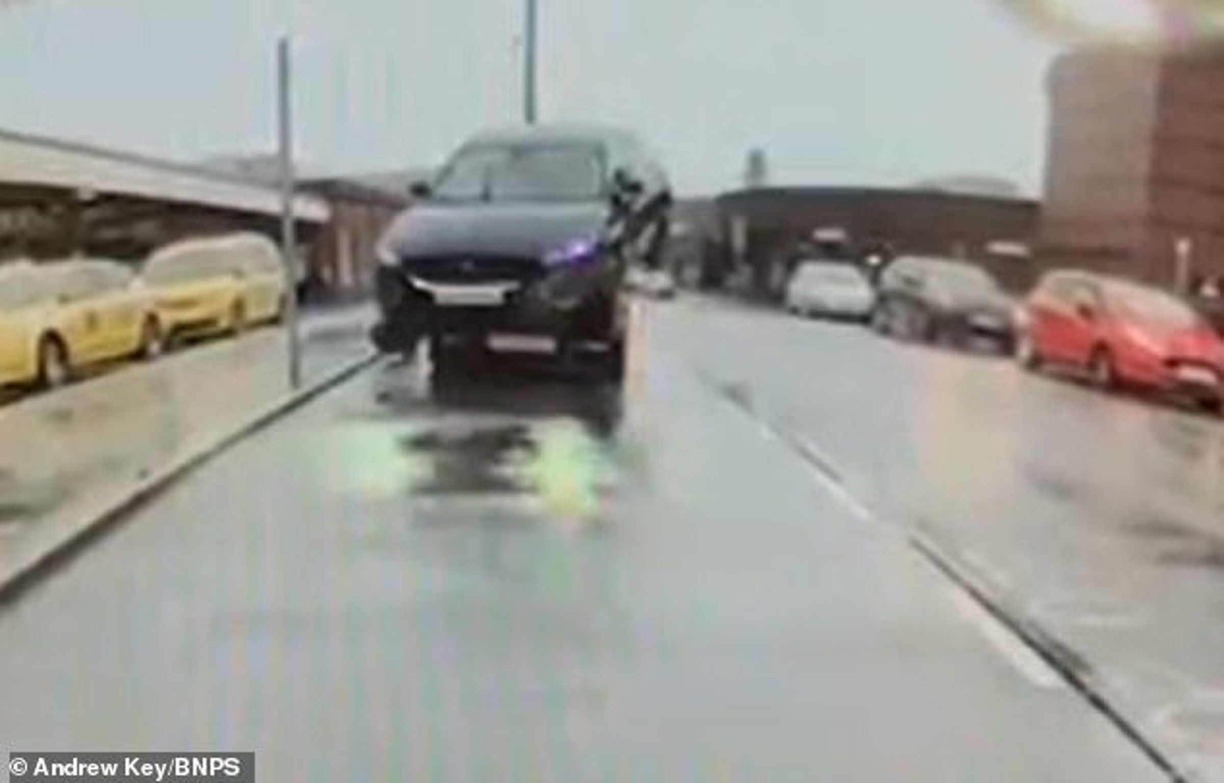 商人開Jaguar名車真的「捷豹」!暴衝硬上保時捷、撞特斯拉,震撼影片曝光。(翻自《每日郵報》)