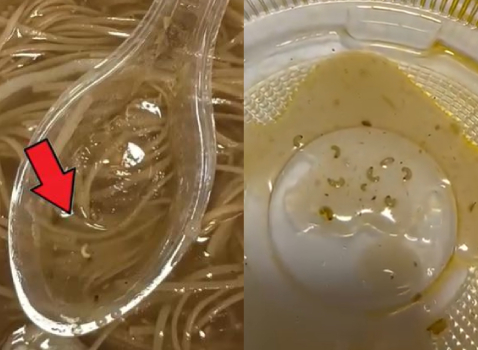 民眾買來大腸麵線，吃一半驚見多隻小蟲。（翻攝爆料公社臉書）
