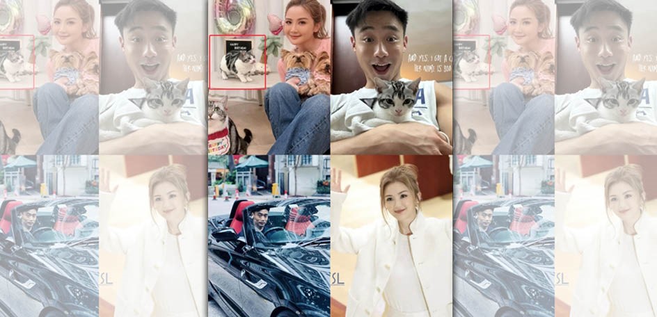 蔡卓妍去年傳與小10歲健身教練Elvis新戀情，2人「共同養貓」的低調示愛方式，被發現戀情蛛絲馬跡。（微博圖片）